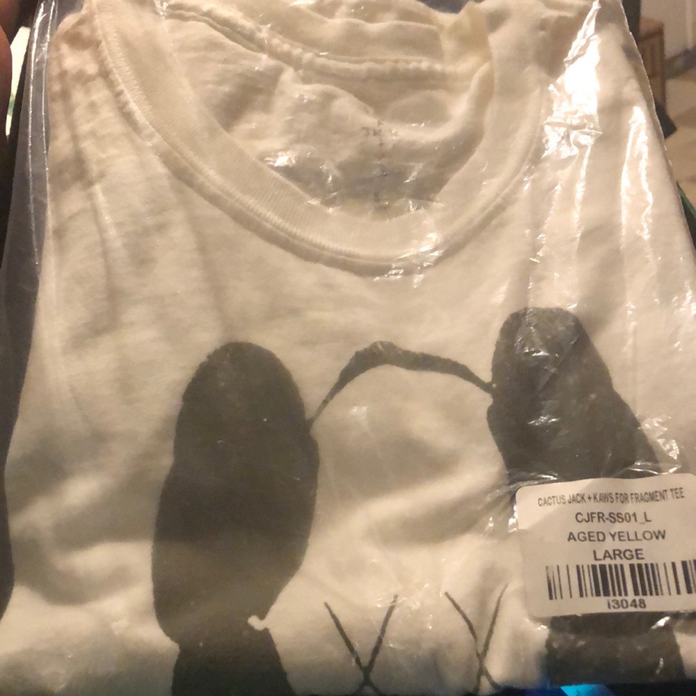 LARGE Cactus Jack + KAWS for Fragment Tee (new)